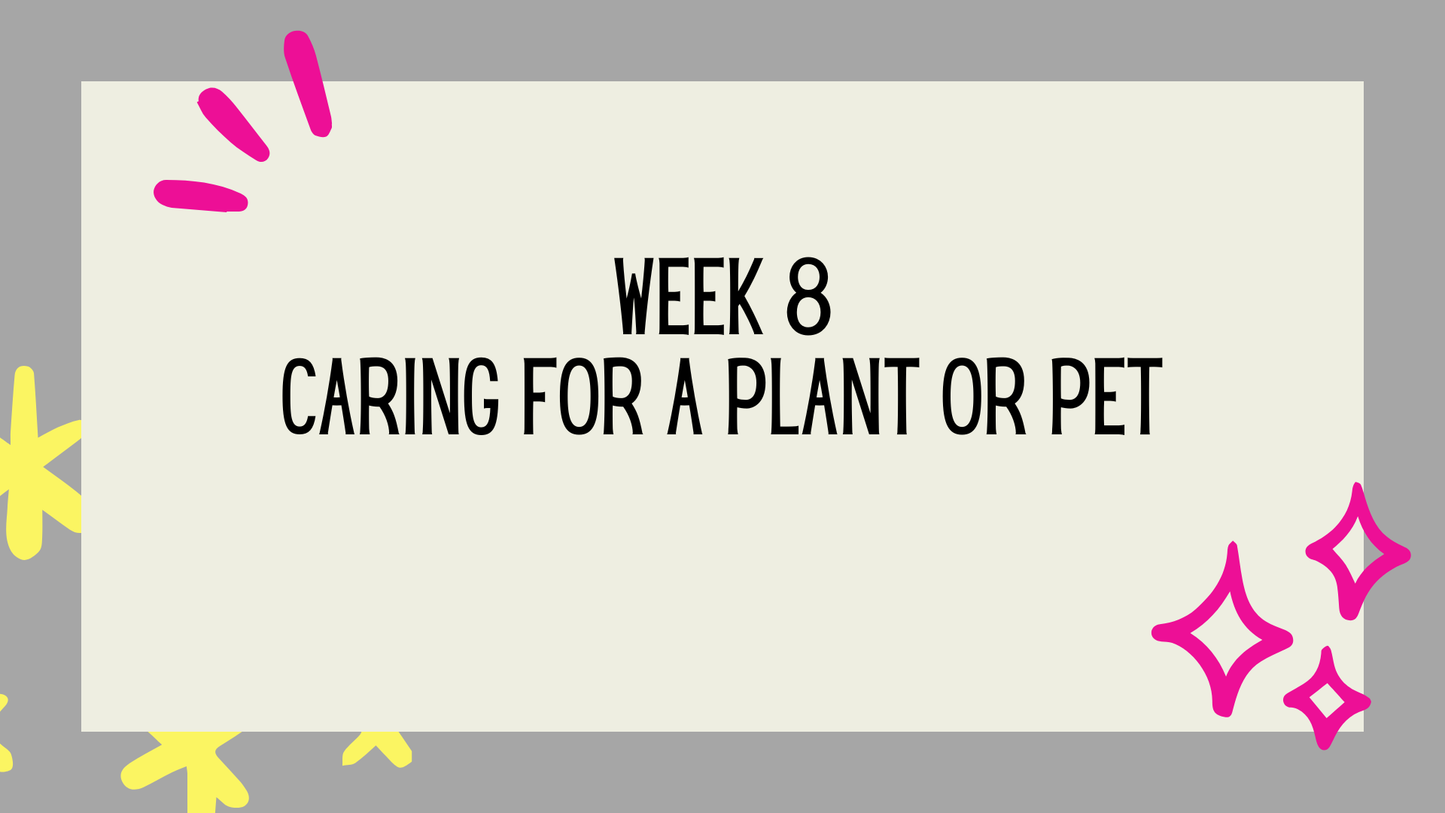 Year-Long Life Skills Slides | 36 Editable SEL Lessons for Grades 3–5